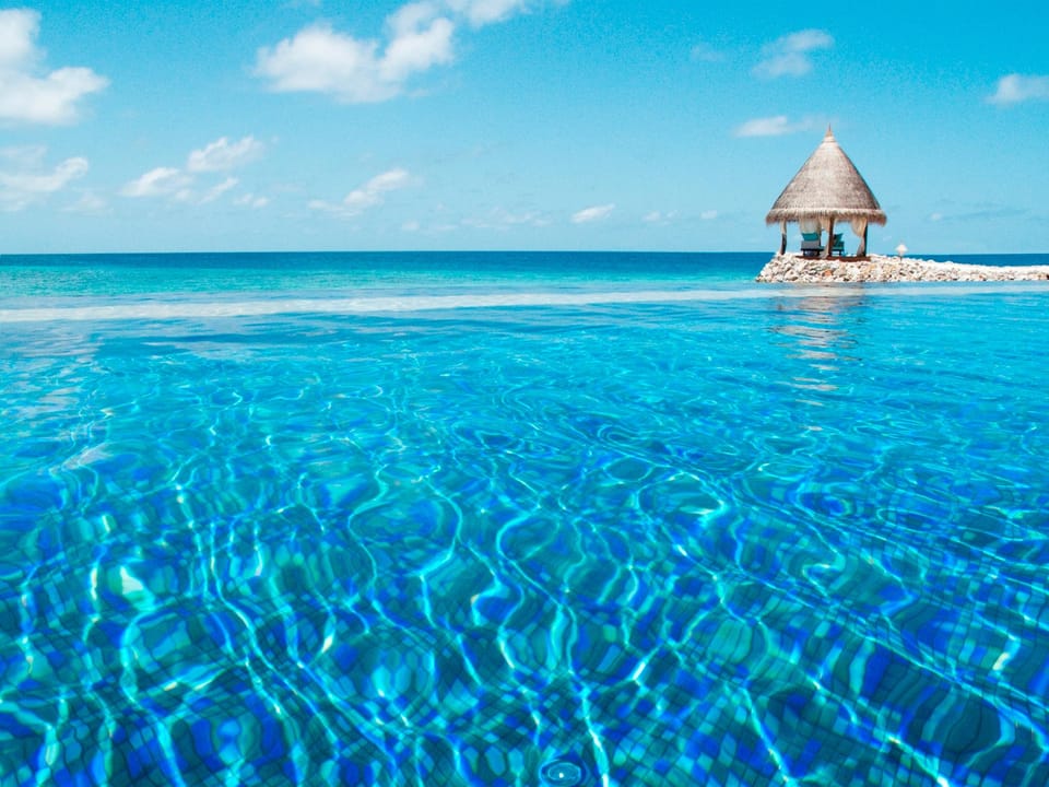 Swimming pool [outdoor]