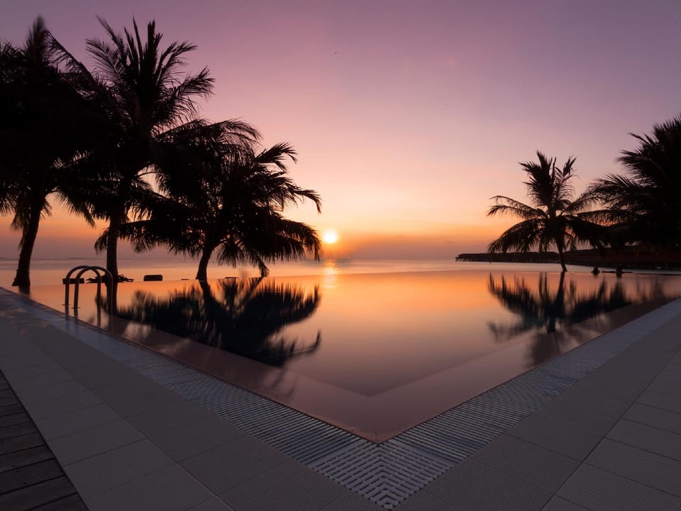 Swimming pool [outdoor]