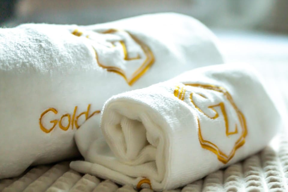 Golden Zaan Hotel Hotel in Zaandam