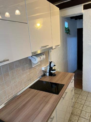 Apartment ALESSIA Hotel in Rovinj