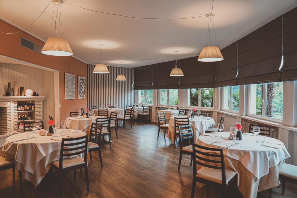 Hotel Serenella Hotel in Canton of Ticino