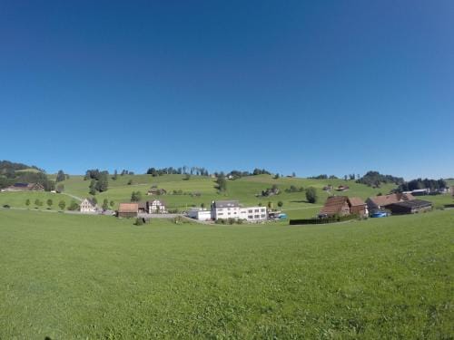 Hotel Garni Traube B&B Hotel in St. Gallen, Switzerland