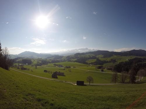 Hotel Garni Traube B&B Hotel in St. Gallen, Switzerland