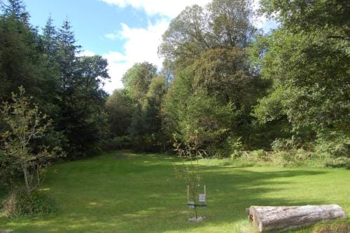 Woodland Pine Lodge Lodge in Scotland
