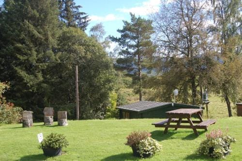 Woodland Pine Lodge Lodge in Scotland