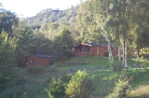 Cosy & compact Rowan Lodge no2 Lodge in Scotland