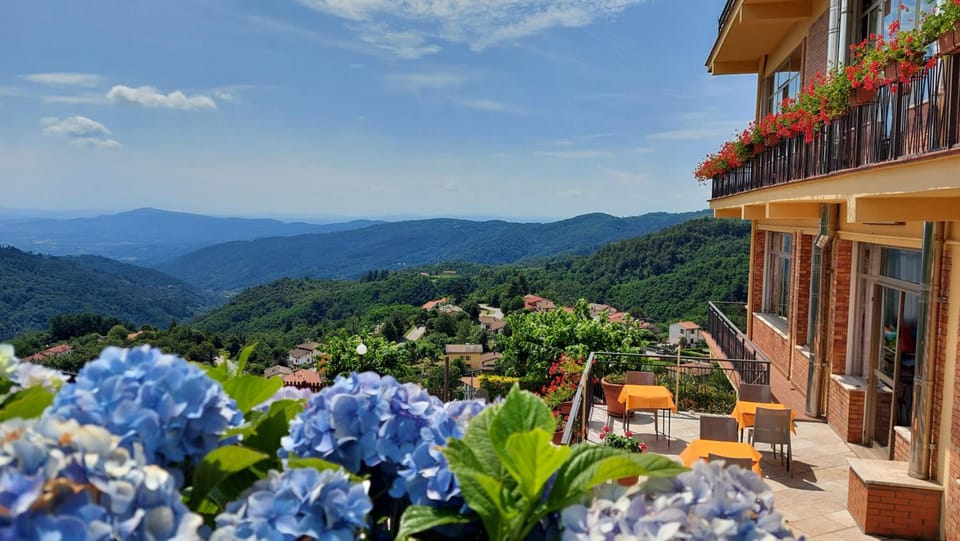 Aparthotel Amelia Dream View Hotel in Emilia-Romagna