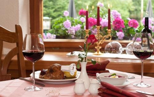 Waldhotel Rennsteighof Hotel in Thuringia, Germany