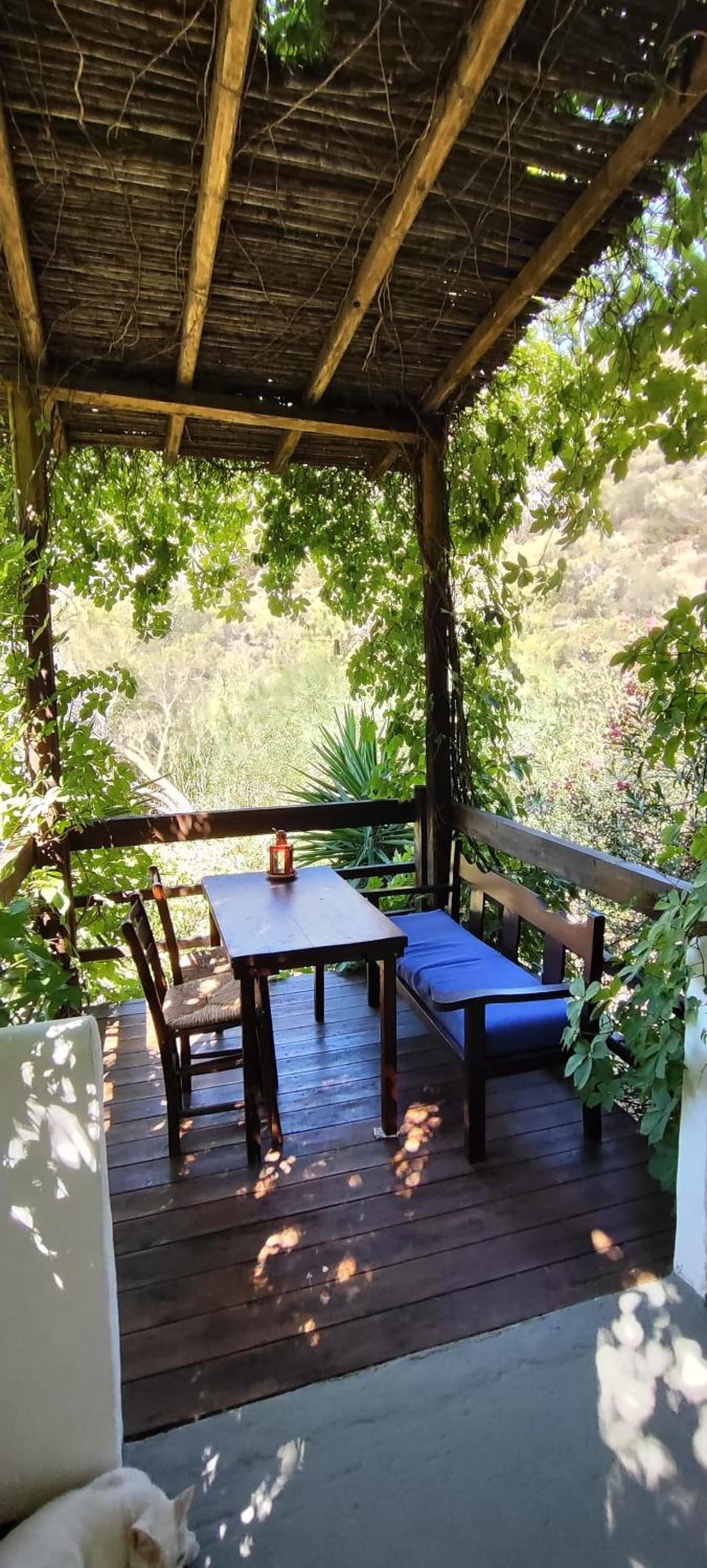 Oleander's Garden Traditional Cretan Cottage Hotel in Lasithi