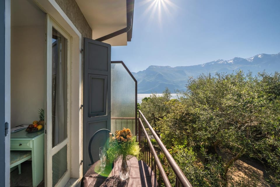Hotel Silvana Garni Hotel in Limone Sul Garda