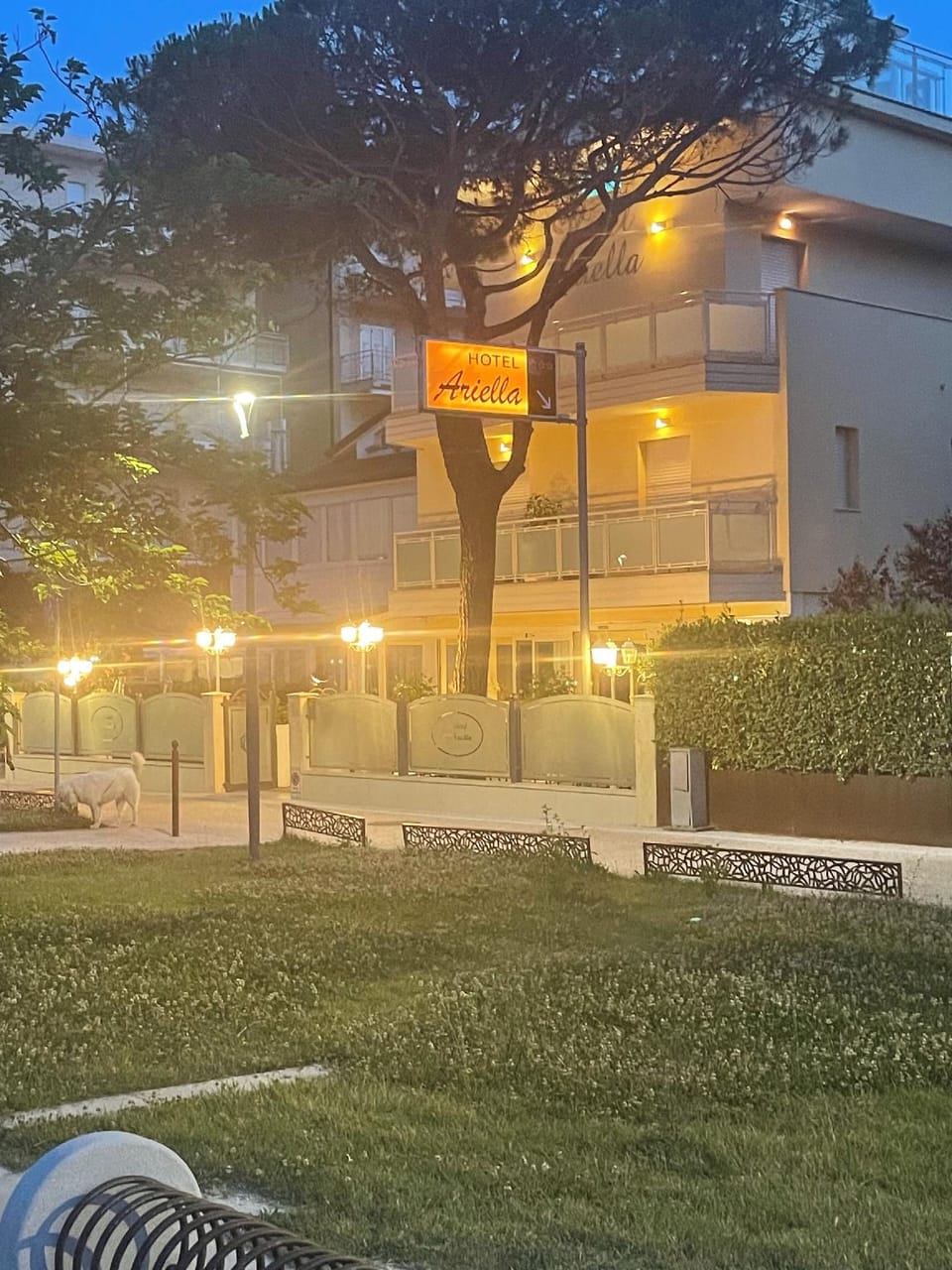 Hotel Ariella Hotel in Cervia