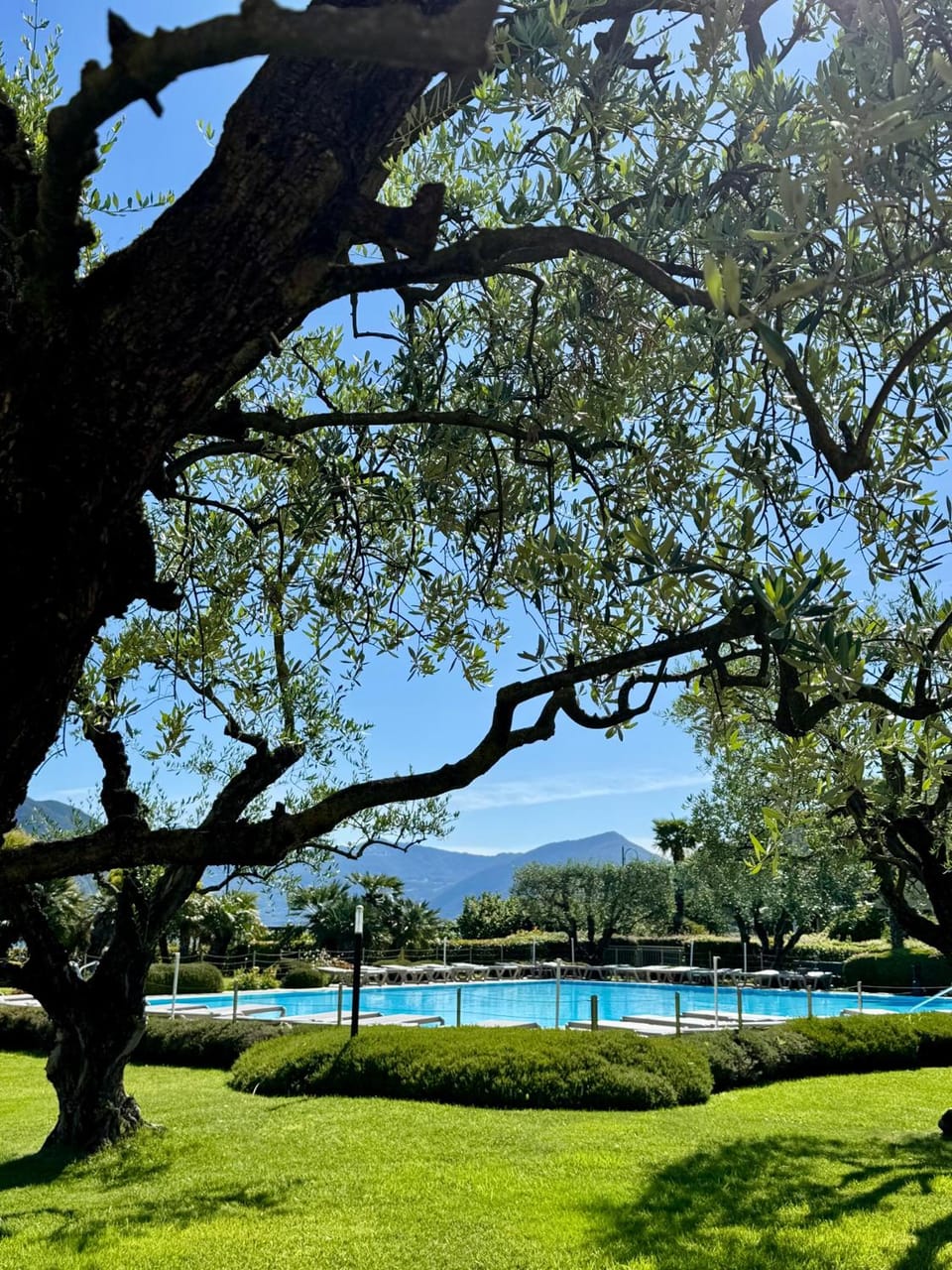 Ulivi Hotel & Residence Hotel in Province of Brescia