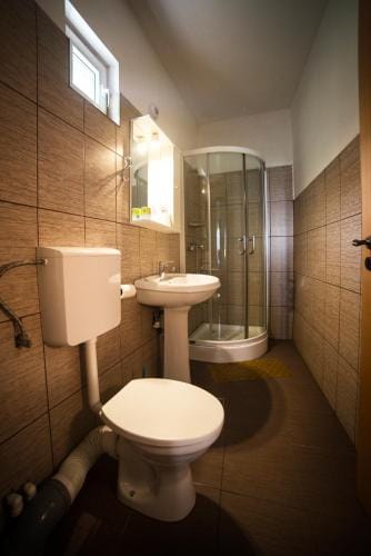 Pensiunea Caramida Verde Hotel in Craiova