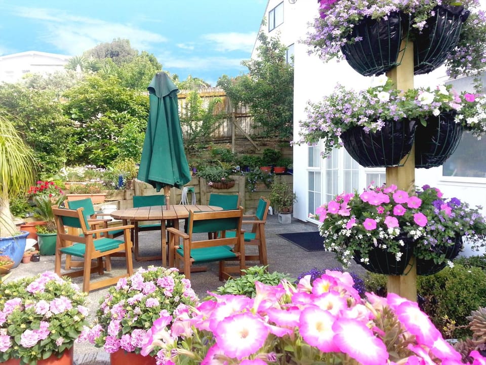 Lush & Co Auckland Bed & Breakfast Hotel in Auckland