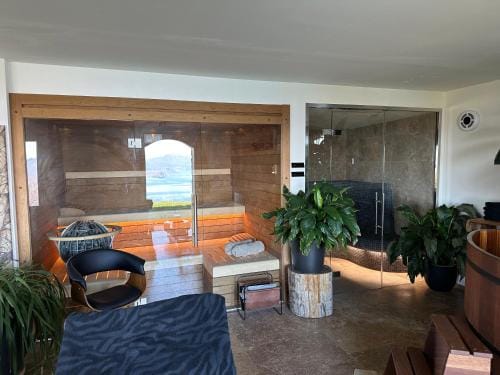 Private Luxury Spa & Silence Retreat with Spectacular View over the Lake Maggiore Hotel in Canton of Ticino
