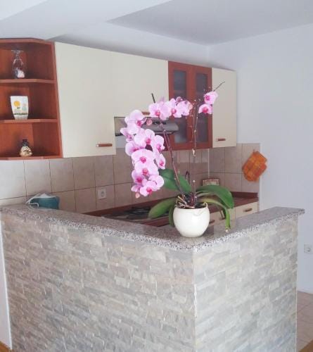 Guest House Domig Hotel in Lika-Senj County
