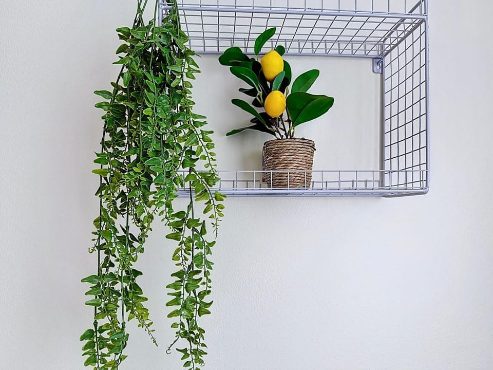 Slina Hotel Brussels Hotel in Brussels