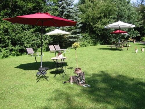 Haus 2 - Typ C (kombiniert) Resort in Vulkaneifel