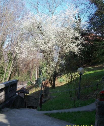 B&B I Ghiri Hotel in Bergamo