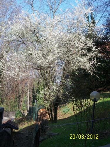 B&B I Ghiri Hotel in Bergamo