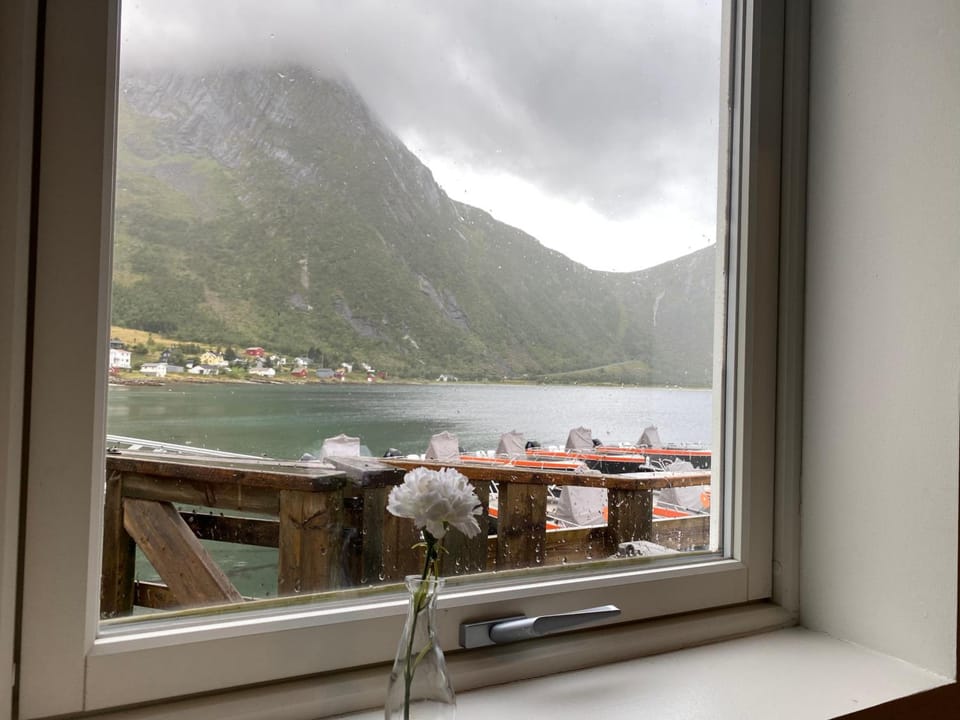 Northern Light Hotell/Camp Steinfjord Hotel in Nordland, Norway