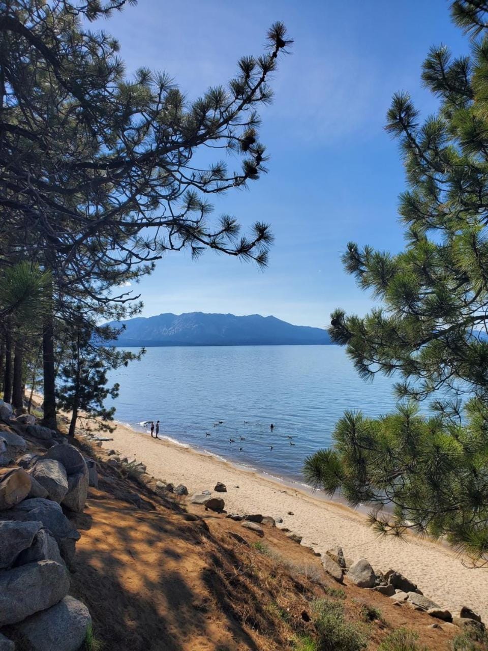 Bluebird Day Inn & Suites Motel in South Lake Tahoe