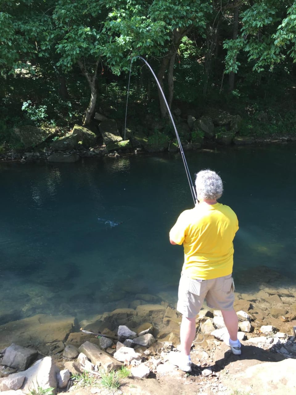 Cassville Four Seasons Inn & Suites Hotel in Ozark Mountains