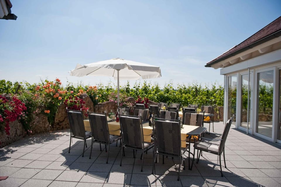 Felshof - Weingut & Gastehaus Hotel in Hesse