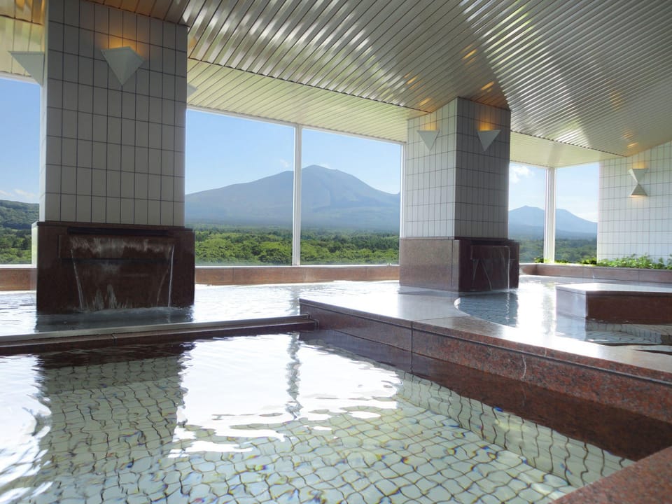 Villa Kitakaruizawa L-Wing Hotel in Japan