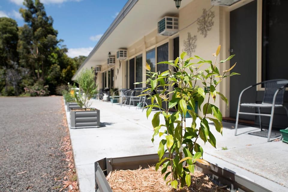Gariwerd Motel Accommodation Motel in Halls Gap