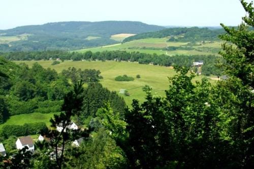 Vulkaneifel Type L-C6 Resort in Vulkaneifel