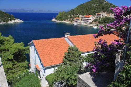 Apartments and rooms by the sea Zaklopatica, Lastovo - 994 Hotel in Dubrovnik-Neretva County