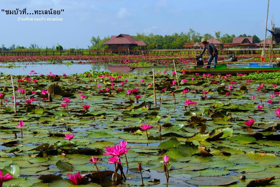 Banpak Suankaew Talaynoi Resort in Thailand