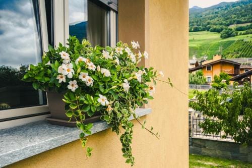 L'Adret Hotel in Aosta Valley, Italy