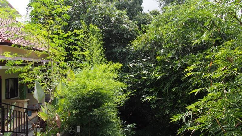 Green View Widia Hotel in Ubud