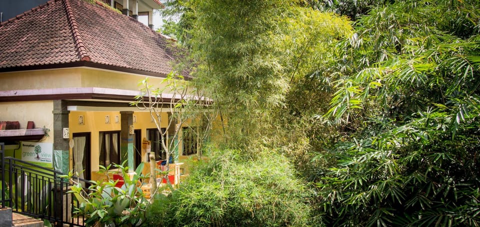 Green View Widia Hotel in Ubud