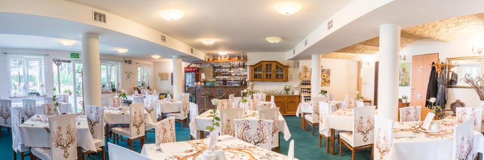 Hotel Bella Hotel in Lower Silesian Voivodeship