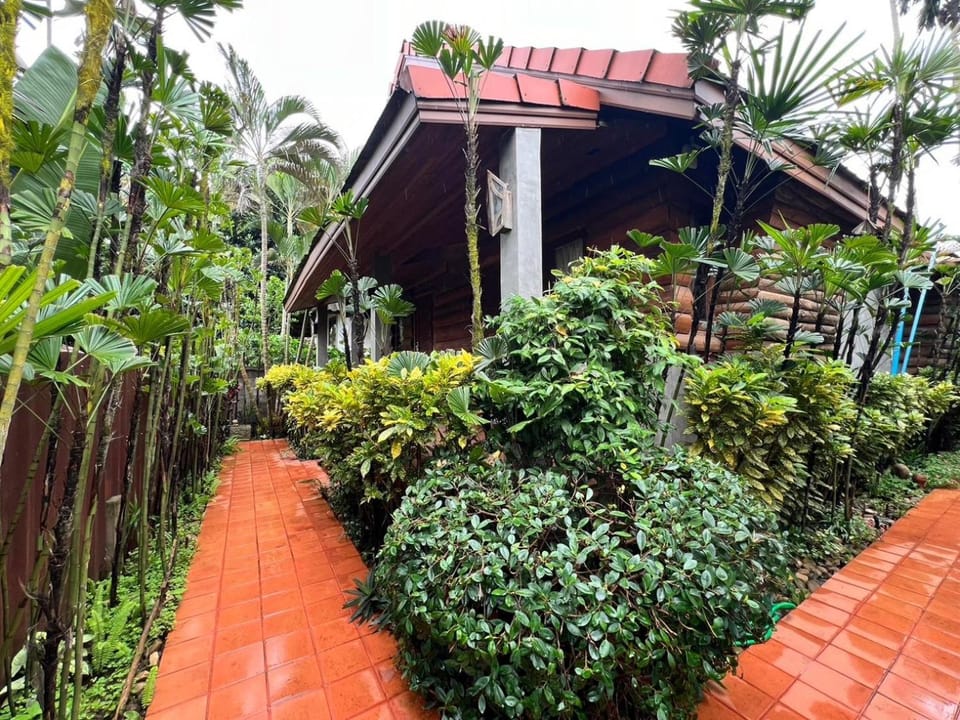 yotaka@pai Hotel in Thailand