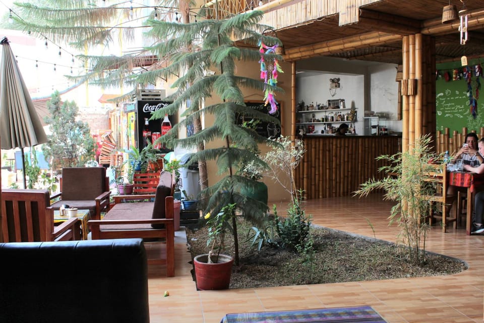 La Casa de Bamboo Hostel in Ica