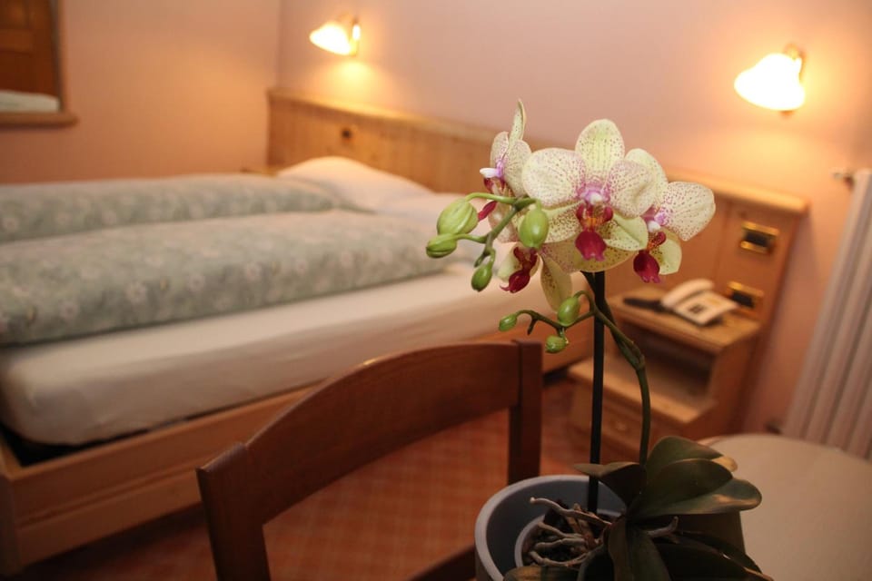 Albergo Caravasc Hotel in Canton of Grisons