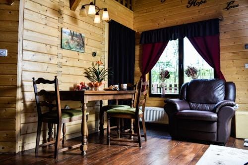 The Little Mountain Cabin Lodge in Timiș County