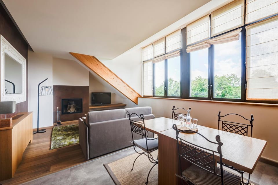 Chateau des Avenieres Hotel in Haute-Savoie