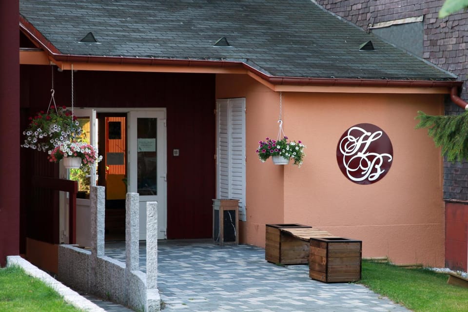 Logis Hotel Des Bains Hotel in Gérardmer
