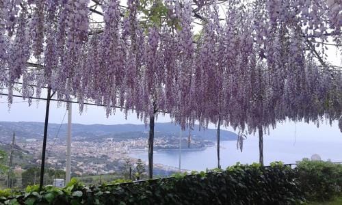 La Roccia Hotel in Agropoli