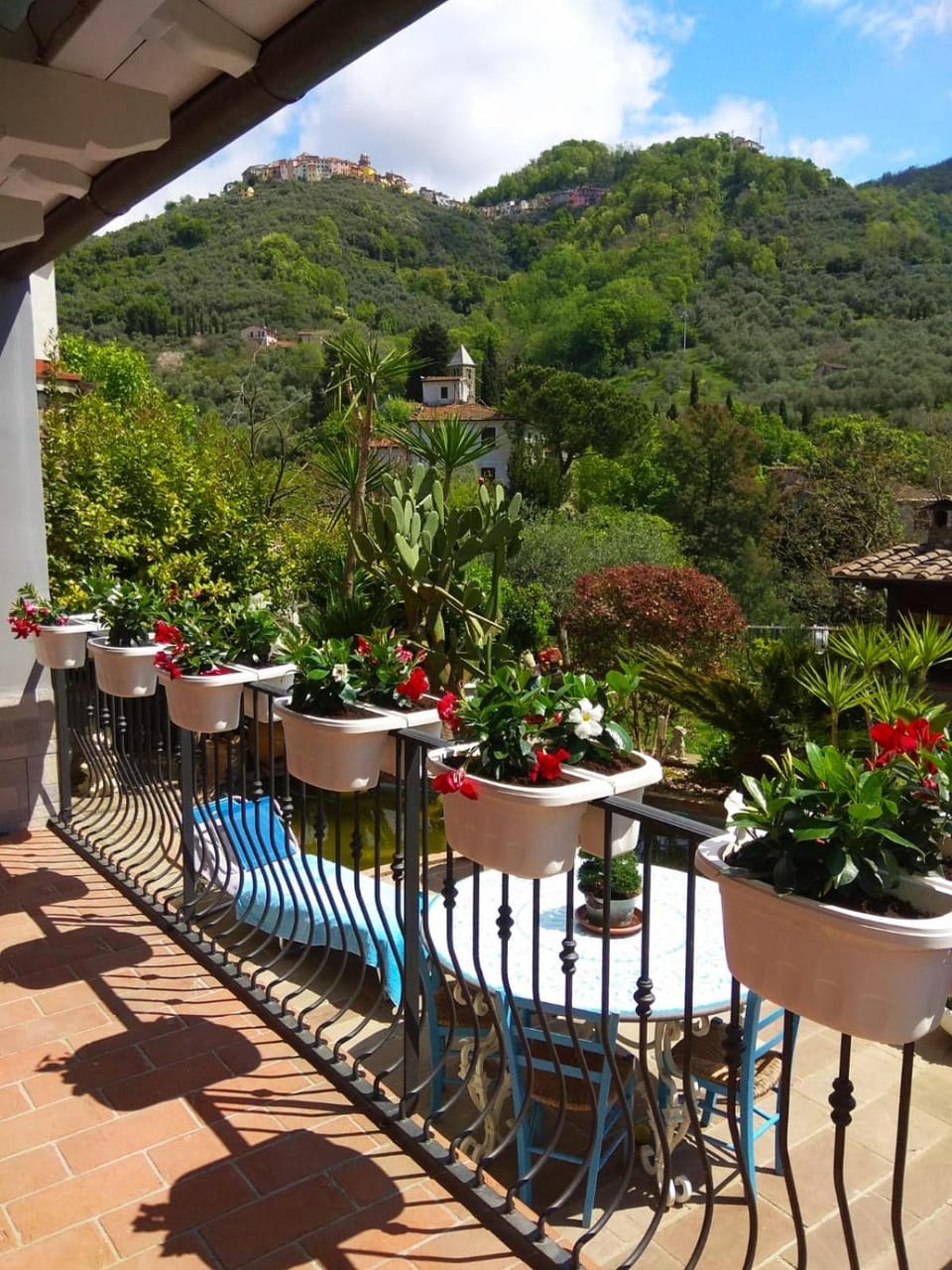 jasmine cottage Hotel in Carrara