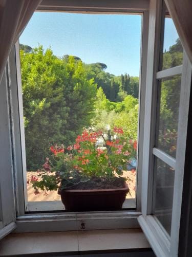 Gli Ulivi Bed & breakfast Hotel in Province of Massa and Carrara