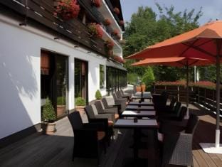 Hotel-Restaurant Birkenhof Hotel in Hesse