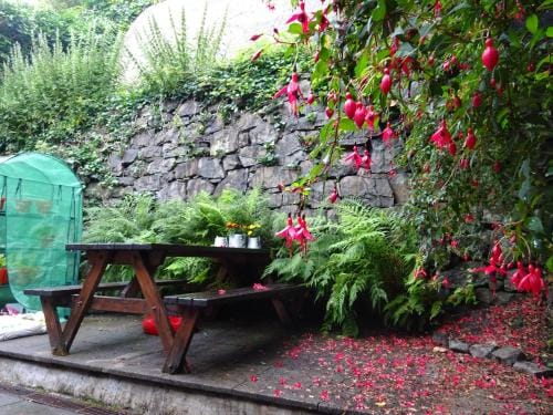 Tobermory Youth Hostel Hostel in Scotland