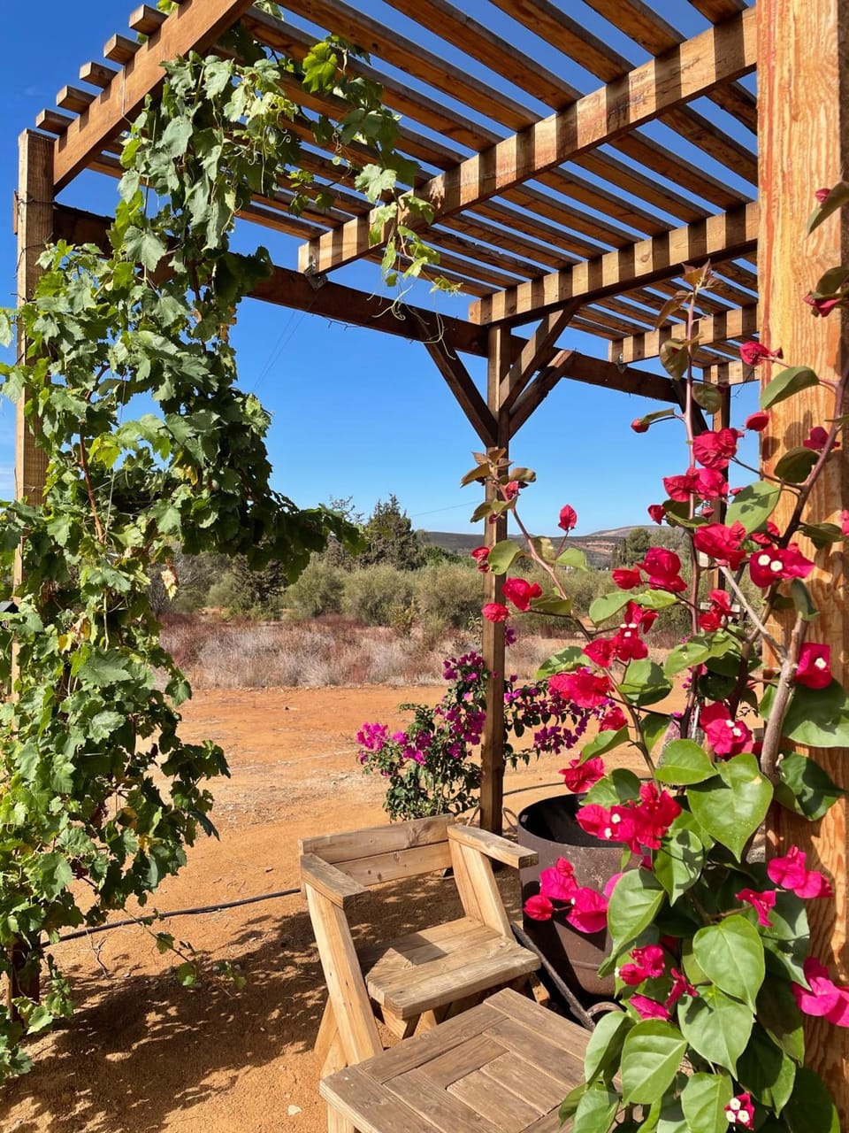 Sn Tony Hotel & Spa Inn in State of Baja California