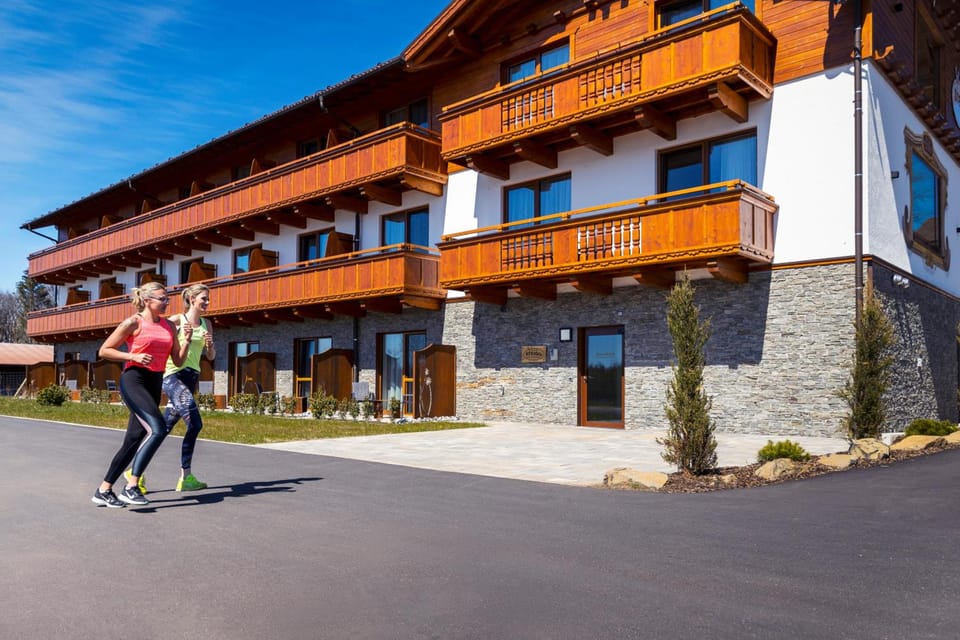 Steig-Alm Hotel Superior Hotel in Rhineland-Palatinate
